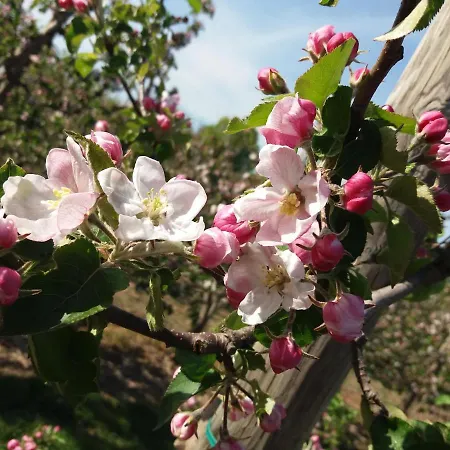 Apfelhaus Vakantiehuis