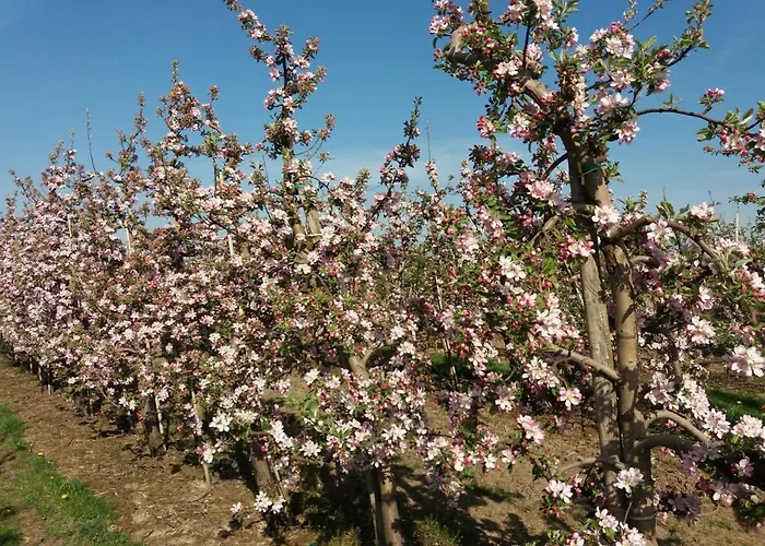 Semesterbostad Apfelhaus Bachenbrock